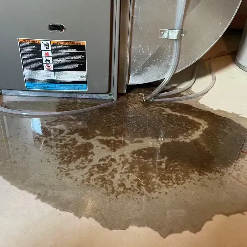 Appliance Leak Cleanup in New Holland, PA